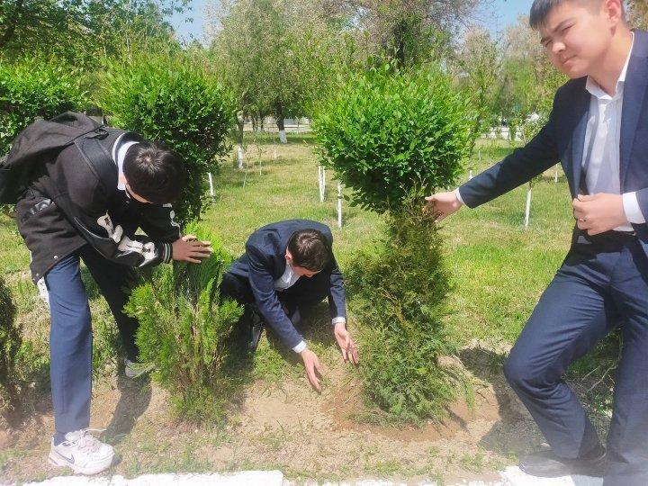 Көгеріштендіру акциясы өтті