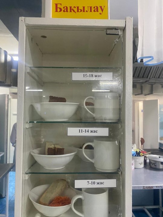 Бақылау тамағы